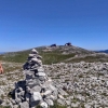 Nebojša